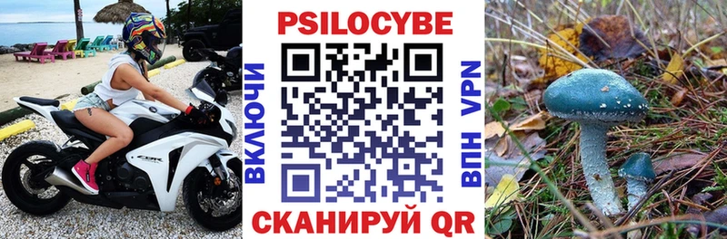 Галлюциногенные грибы GOLDEN TEACHER  сколько стоит  Рыльск 
